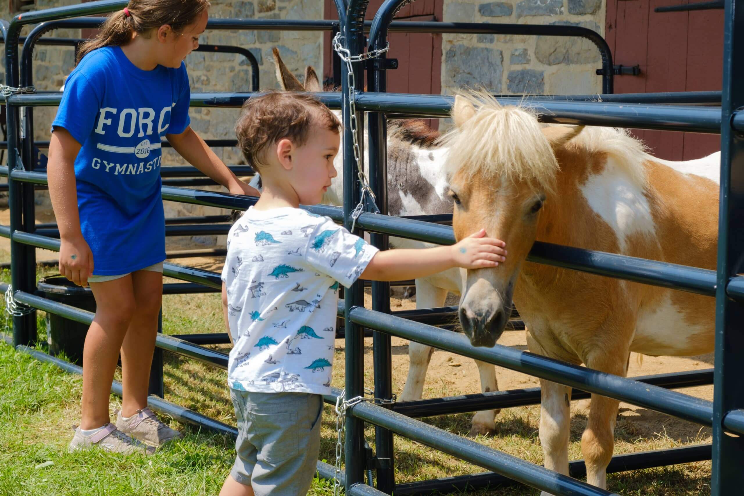 Two young children petting ponies