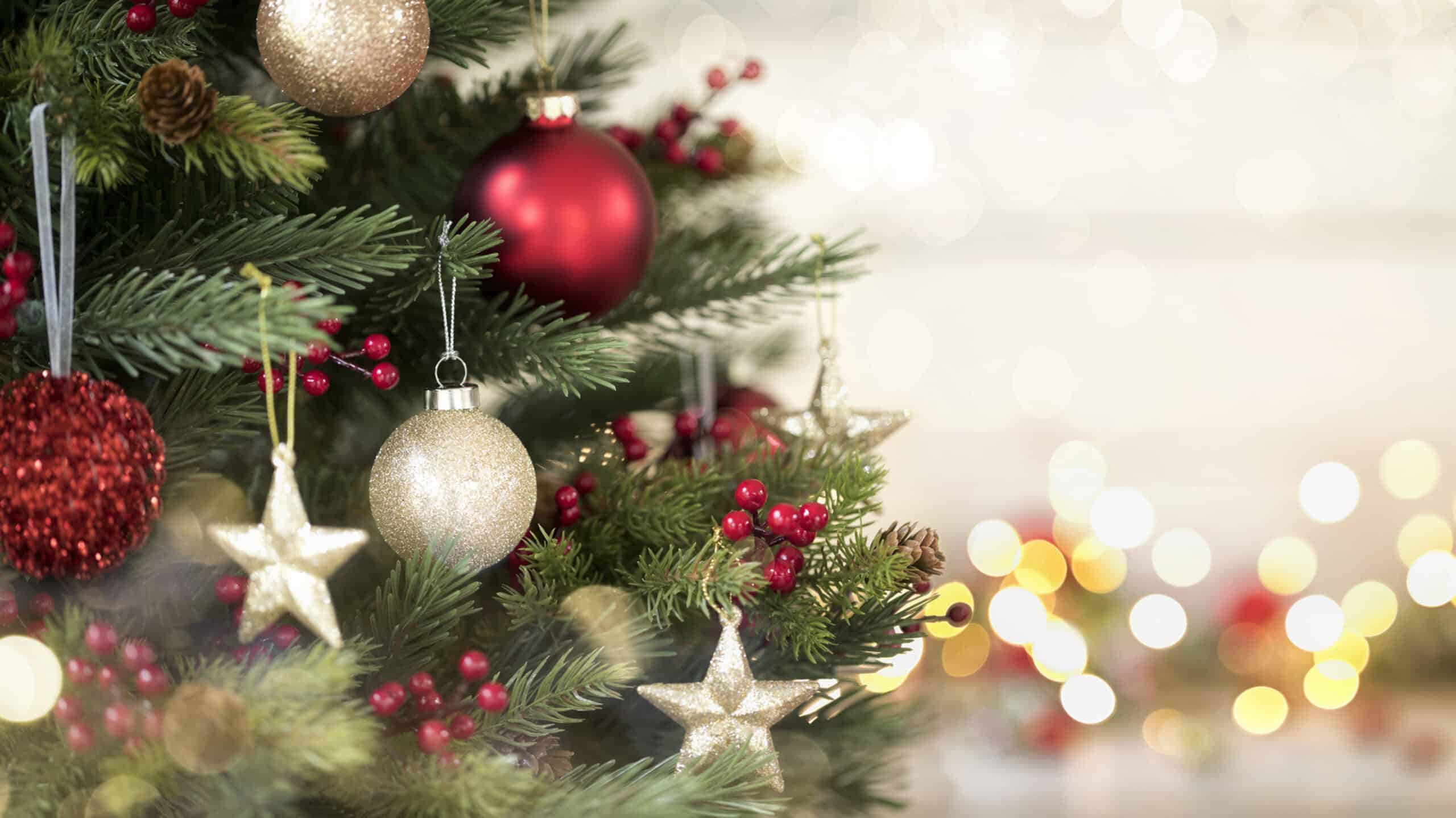 Red and gold ornaments, gold stars and holly berries displayed on a Christmas tree