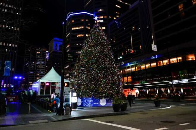 Fountain Squareâ€™s live Christmas tree is a yearly tradition, sitting front and center and welcoming visitors to the ice rink on Thursday, Dec. 21, 2023, in Downtown Cincinnati.