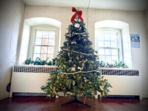 San Antonio Trees of Historic Bethlehem