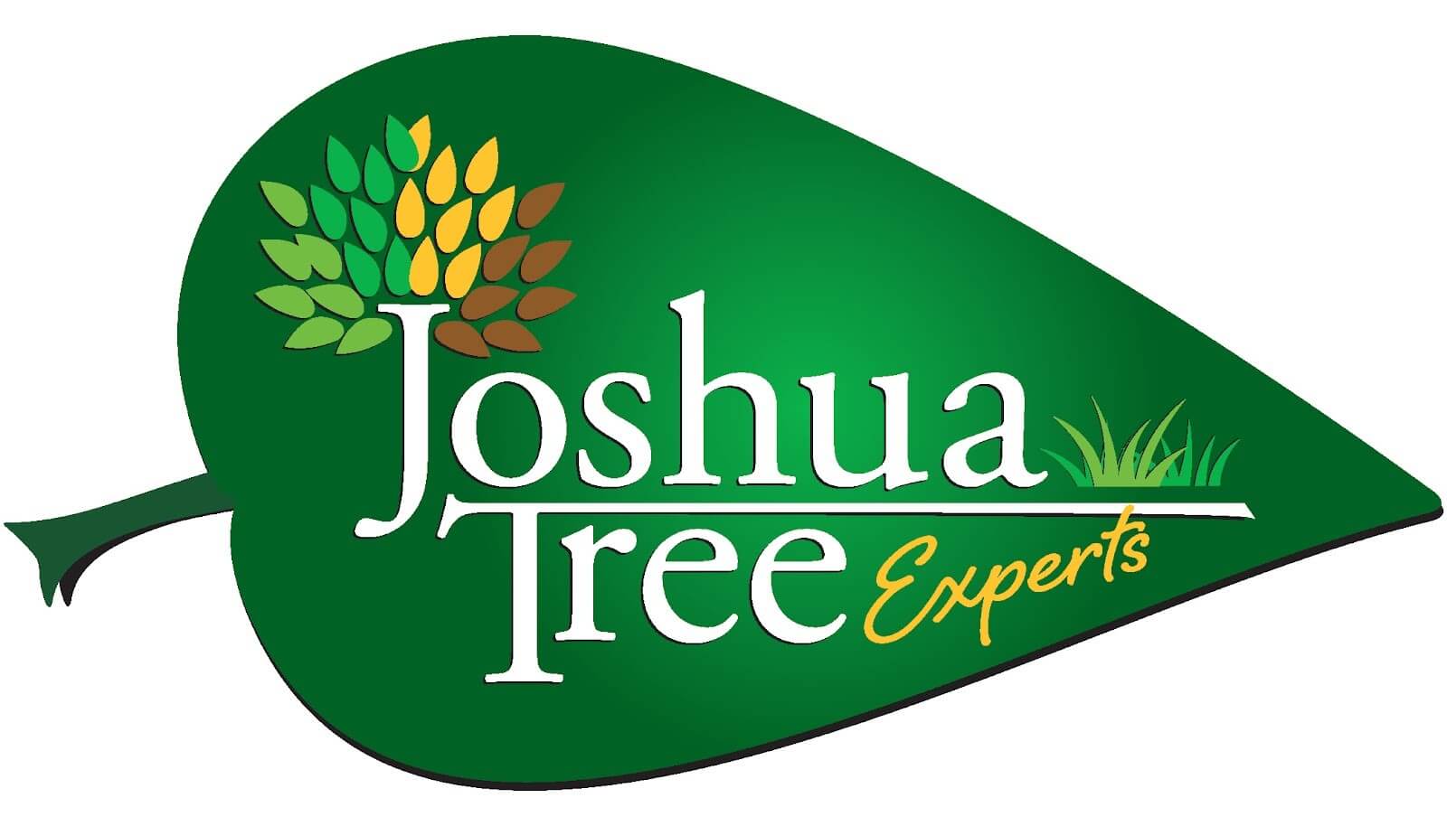 Joshua Tree Experts